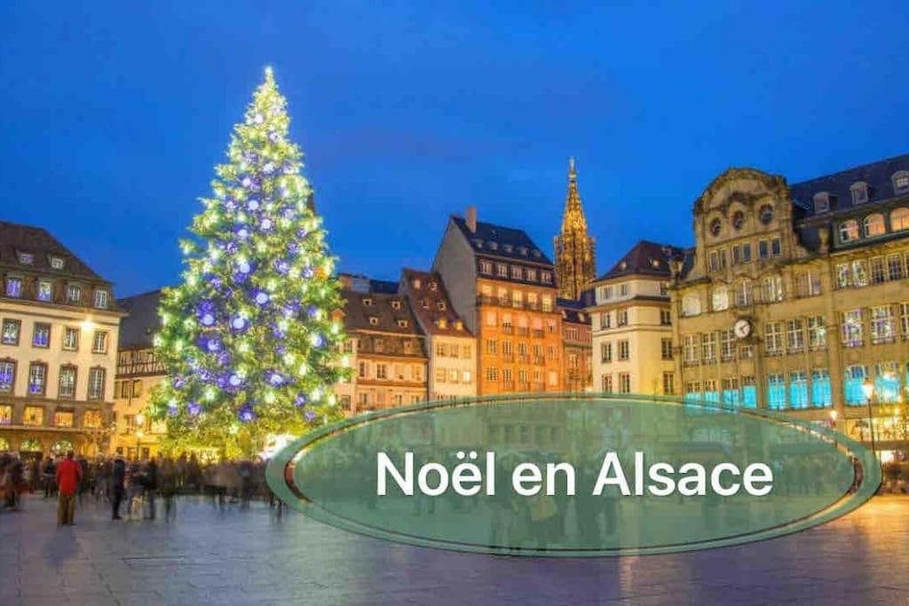 Gite Classe 4 Etoiles  La Maison Du Tonnelier Oberbronn Exterior foto